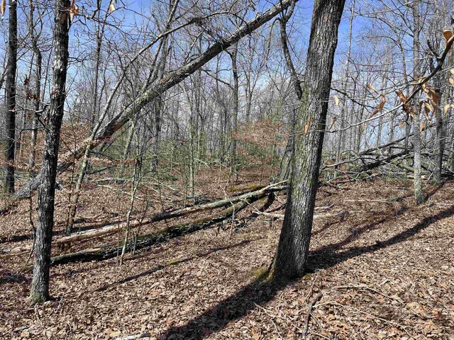 11 Old Liberty Rd, Morris Chapel, TN 38361