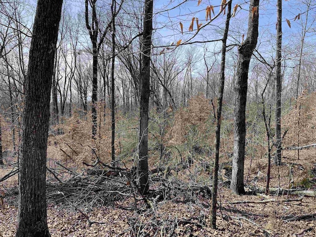 11 Old Liberty Rd, Morris Chapel, TN 38361