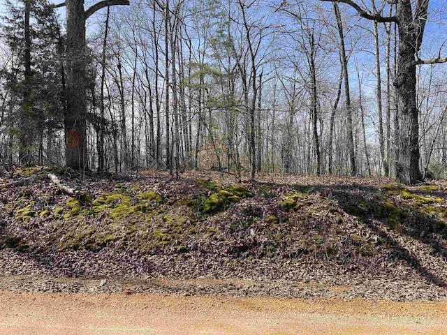 11 Old Liberty Rd, Morris Chapel, TN 38361