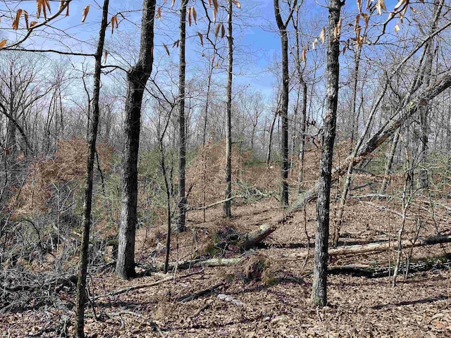 11 Old Liberty Rd, Morris Chapel, TN 38361