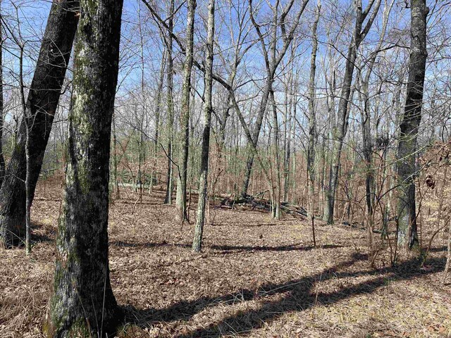 11 Old Liberty Rd, Morris Chapel, TN 38361