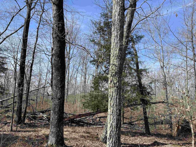 11 Old Liberty Rd, Morris Chapel, TN 38361