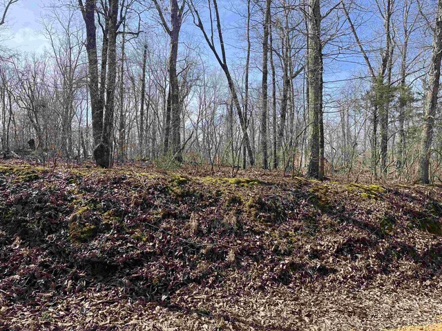 11 Old Liberty Rd, Morris Chapel, TN 38361
