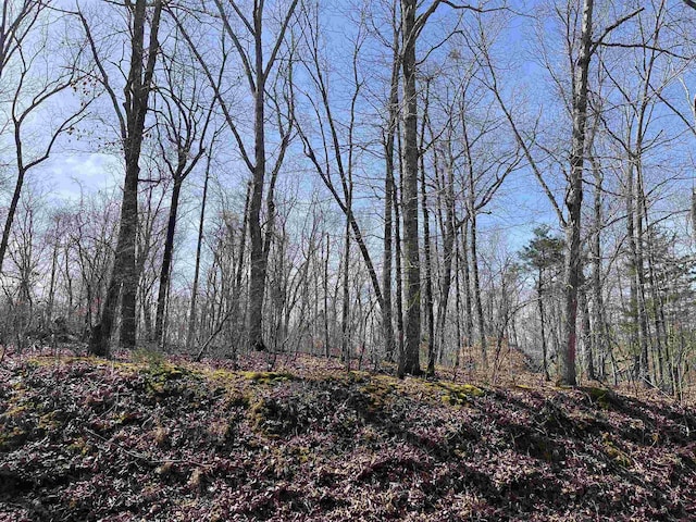 11 Old Liberty Rd, Morris Chapel, TN 38361