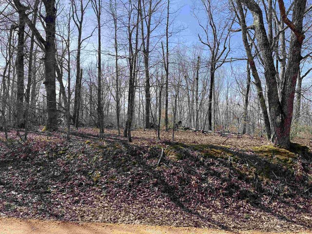 11 Old Liberty Rd, Morris Chapel, TN 38361