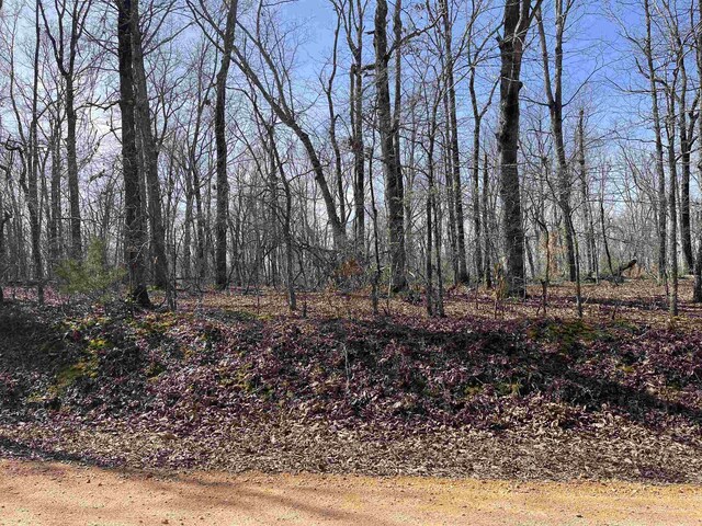 11 Old Liberty Rd, Morris Chapel, TN 38361