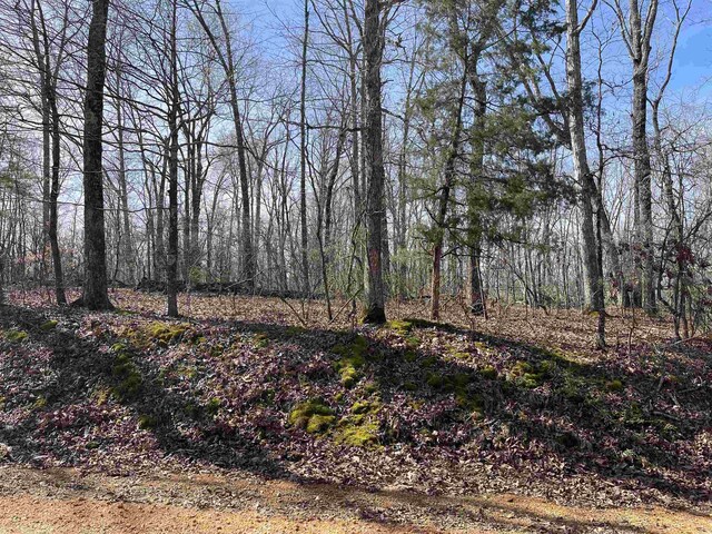 11 Old Liberty Rd, Morris Chapel, TN 38361