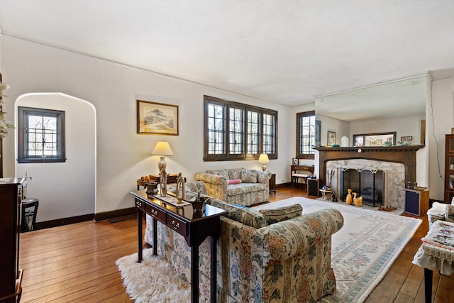 living room featuring wood-type flooring, a premium fireplace, and a wealth of natural light