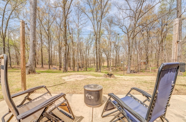 view of yard with a patio area