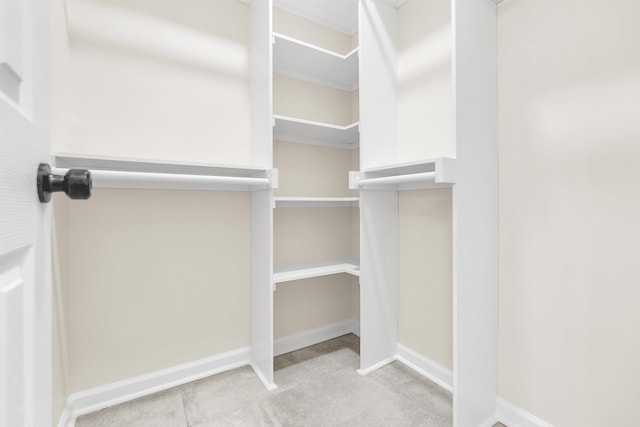 view of spacious closet