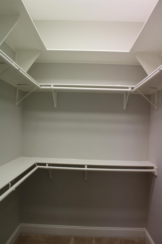 view of walk in closet