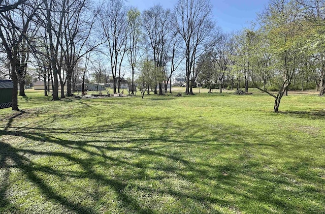 417 E Tigrett St, Halls, TN 38040 - view of yard