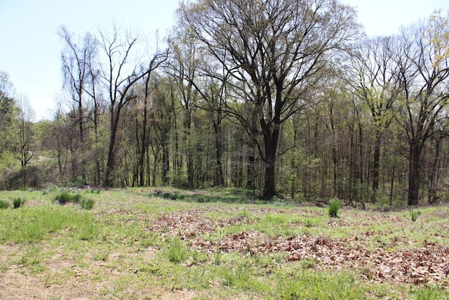 215 S Jefferson St, Ripley, TN 38063