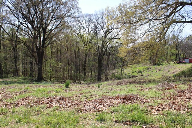 215 S Jefferson St, Ripley, TN 38063