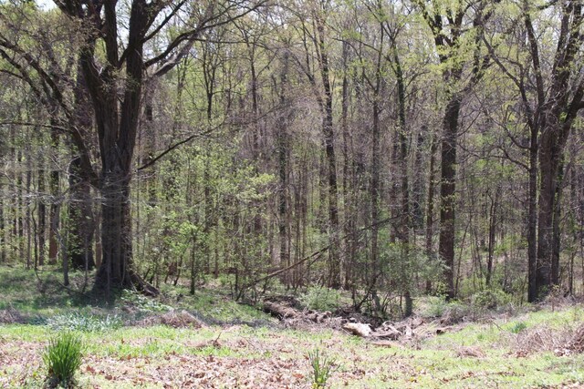 215 S Jefferson St, Ripley, TN 38063