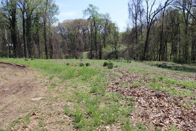 215 S Jefferson St, Ripley, TN 38063