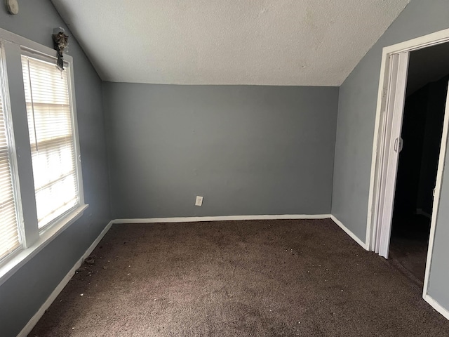 bonus room featuring a textured ceiling, a wealth of natural light, vaulted ceiling, and carpet floors