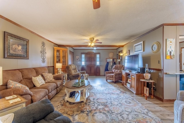 living room with crown molding, light wood-type flooring, a ceiling fan, and a textured ceiling