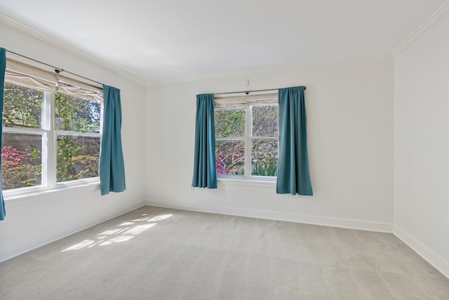 spare room with ornamental molding, a wealth of natural light, and light colored carpet