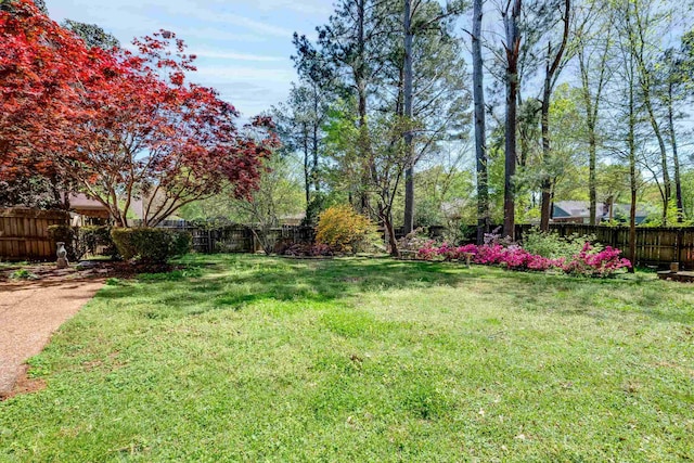 7545 Wheatley Dr, Germantown, TN 38138 - view of yard with fence