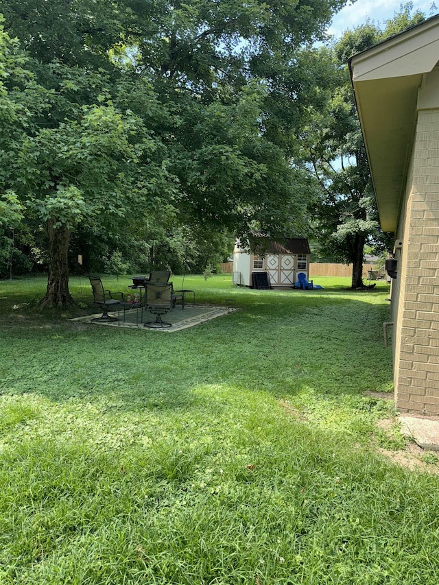 view of yard featuring an outdoor structure, a patio, and a shed