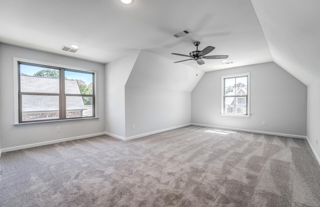 175 Valleyview Ln, Oakland, TN 38060 - additional living space featuring plenty of natural light, carpet flooring, visible vents, and lofted ceiling