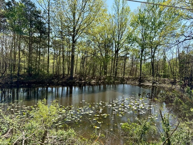 20 Bell Grove Rd, Oakland, TN 38060