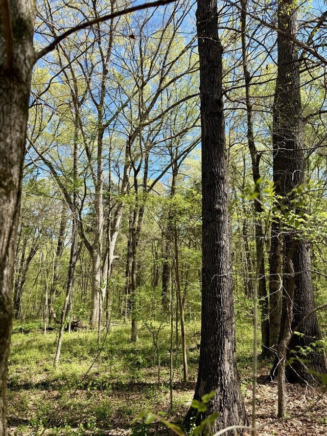 20 Bell Grove Rd, Oakland, TN 38060