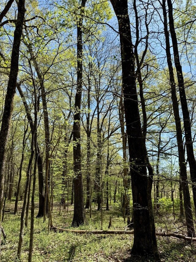 20 Bell Grove Rd, Oakland, TN 38060