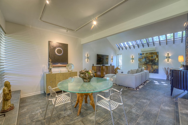 dining room with track lighting, lofted ceiling, a healthy amount of sunlight, and baseboards