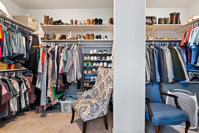 703 Justana Dr, Collierville, TN 38017 - walk in closet with carpet floors