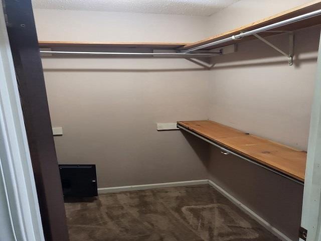 3786 Brandywine Cv, Memphis, TN 38115 - spacious closet with dark colored carpet
