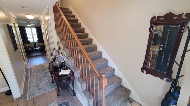 stairs featuring wood finished floors and crown molding