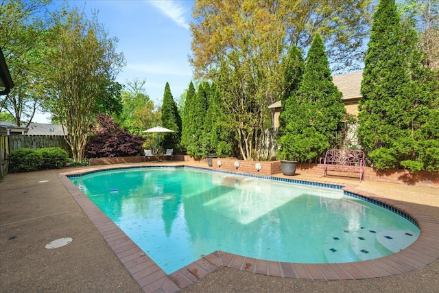 view of pool with a fenced backyard and a fenced in pool