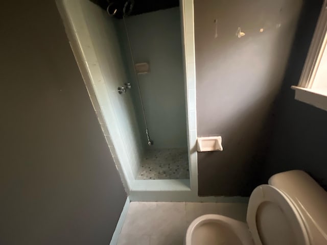 4149 Meadow Creek Rd, Memphis, TN 38115 - full bathroom with a shower stall and toilet