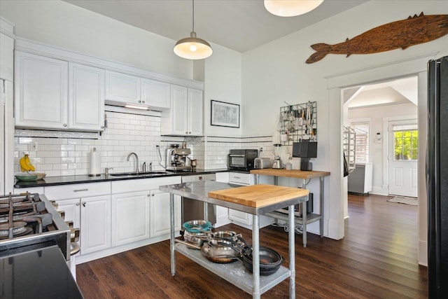 kitchen featuring dishwasher, freestanding refrigerator, a sink, and dark wood-type flooring