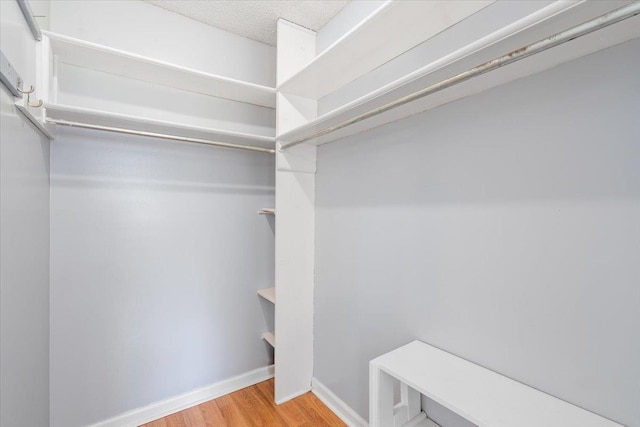 walk in closet featuring wood finished floors