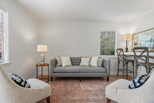 living area featuring crown molding and baseboards
