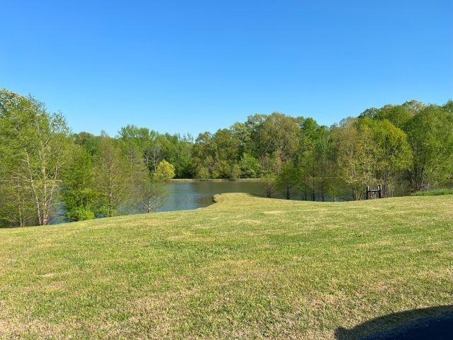 view of yard featuring a water view and a forest view