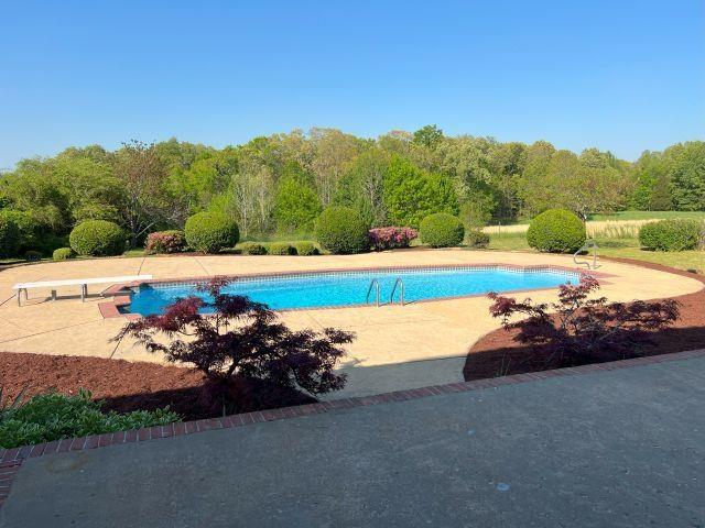 pool featuring a patio and a diving board
