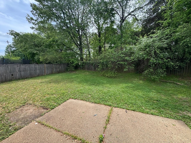 view of yard with a patio area and a fenced backyard