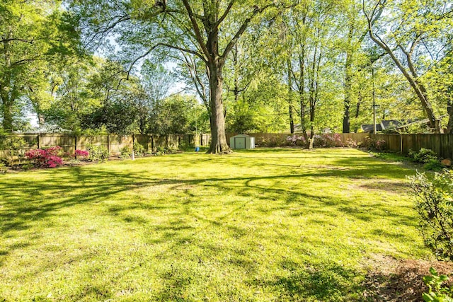 view of yard featuring a fenced backyard, an outdoor structure, and a storage shed