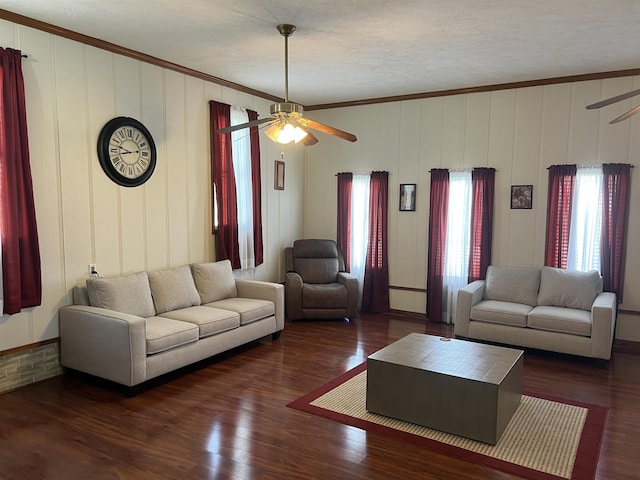 living area featuring crown molding, wood finished floors, a textured ceiling, and a ceiling fan