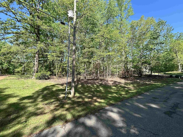 386 Windwood Pt, Counce, TN 38326