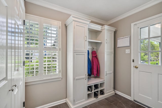 mudroom featuring plenty of natural light, crown molding, and baseboards