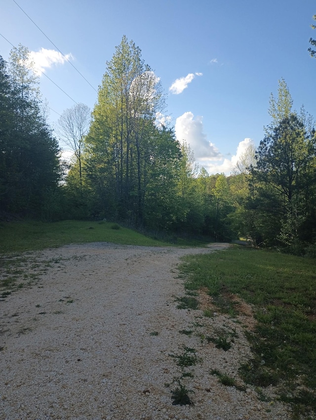 view of road featuring a wooded view