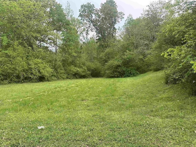 view of local wilderness