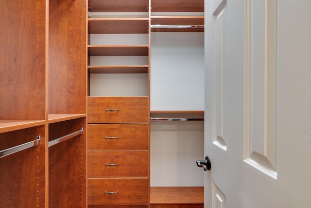 view of spacious closet