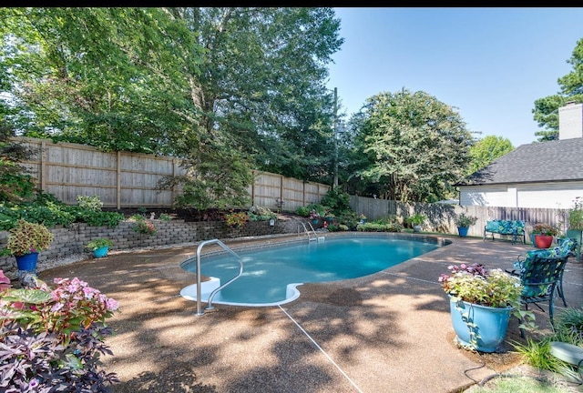 view of pool featuring a fenced in pool, a fenced backyard, and a patio