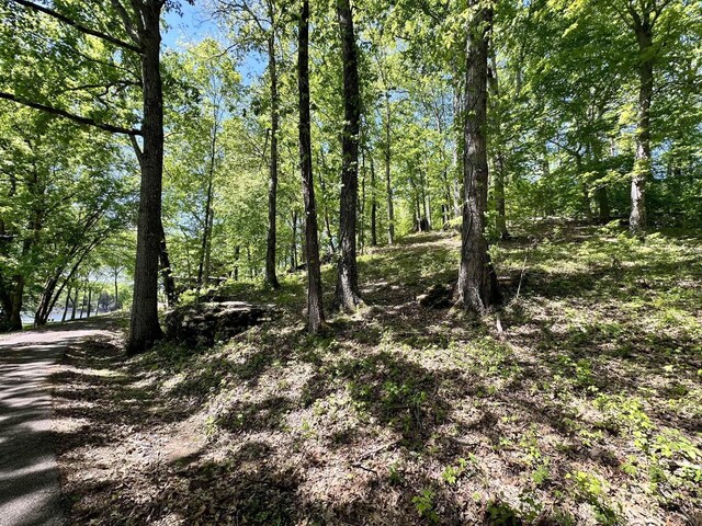 14 Kilo Ford Rd, Parsons, TN 38363